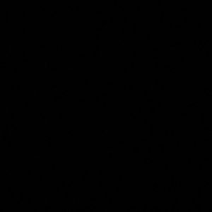 Meet your Posher, Maddie